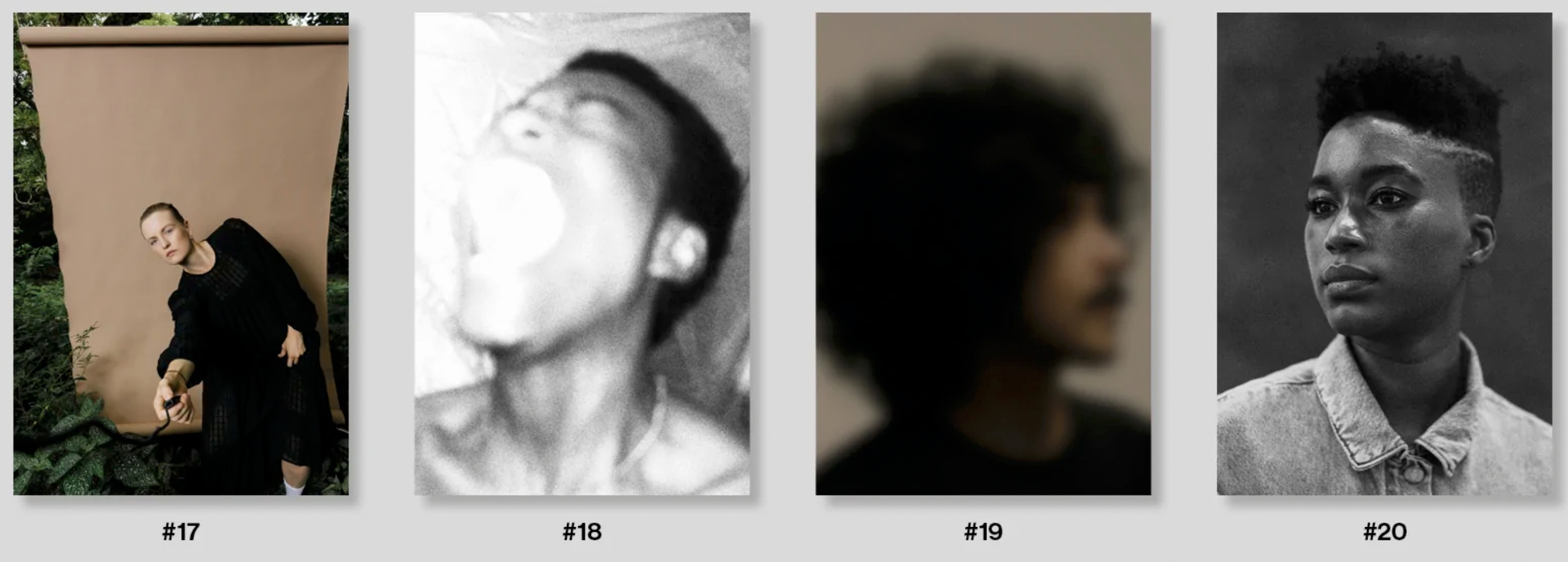 collection of image books