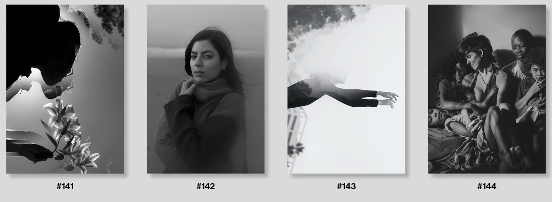 collection of image books